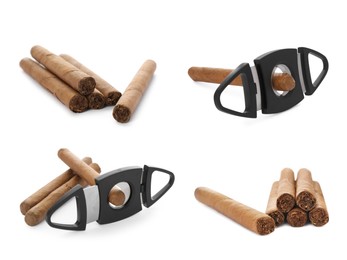 Image of Set with cigars wrapped in tobacco leaves and guillotine cutters on white background