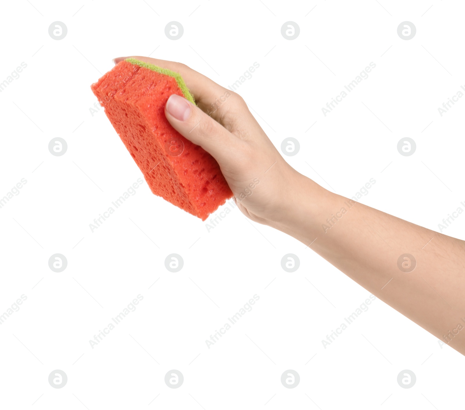 Photo of Woman with sponge on white background, closeup of hand