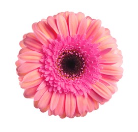 Image of Beautiful pink gerbera flower on white background