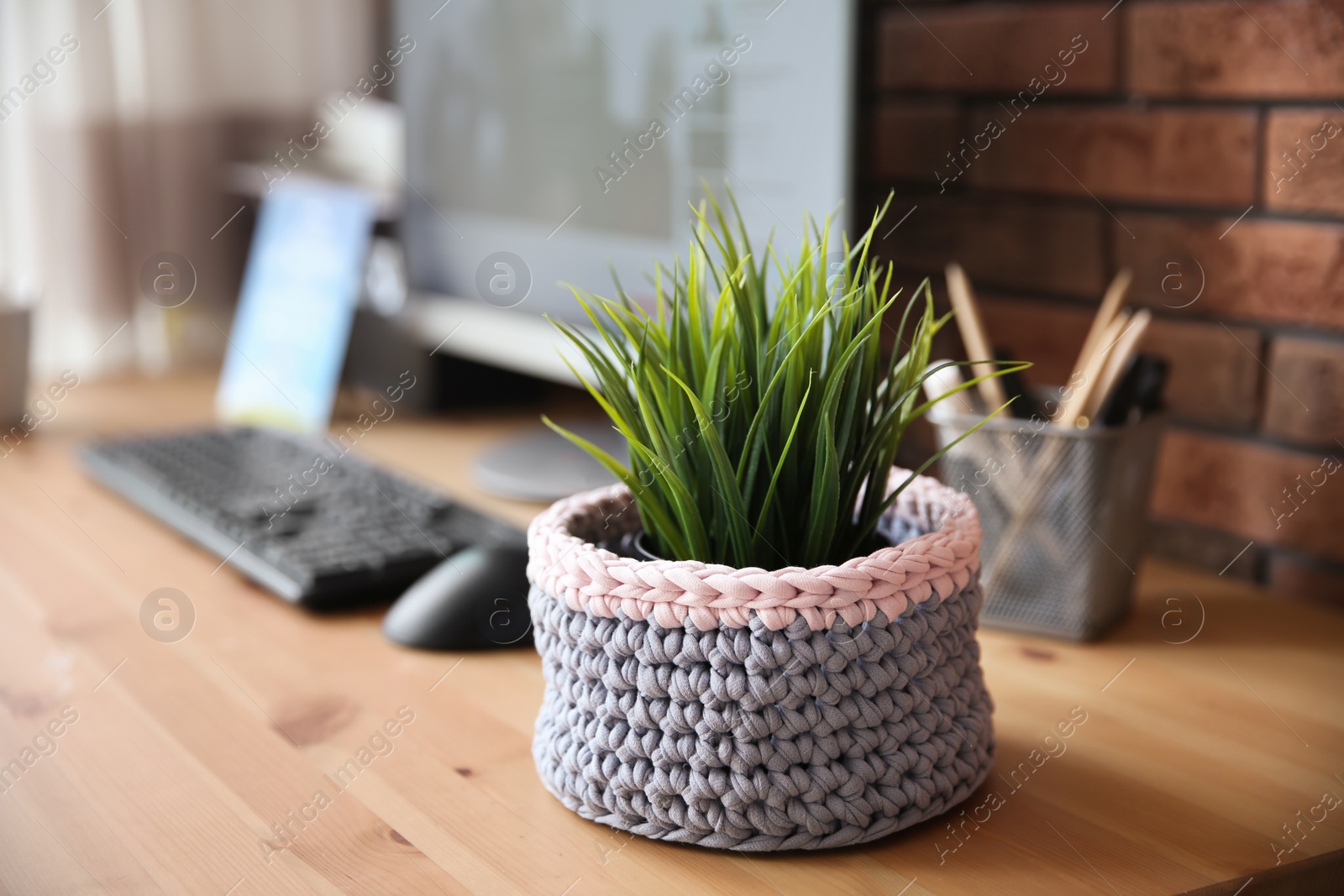 Photo of Knitted flowerpot cover with plant on office table. Interior element