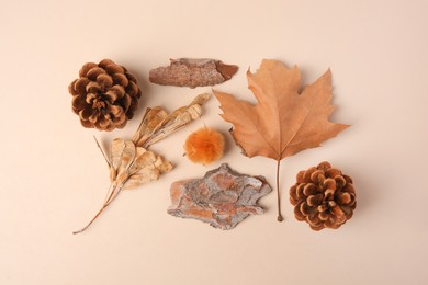 Photo of Tree bark pieces, cones and dry leaves on beige background, flat lay