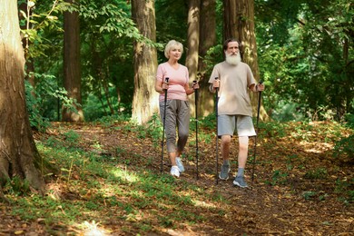 Photo of Senior man and woman performing Nordic walking in forest. Low angle view