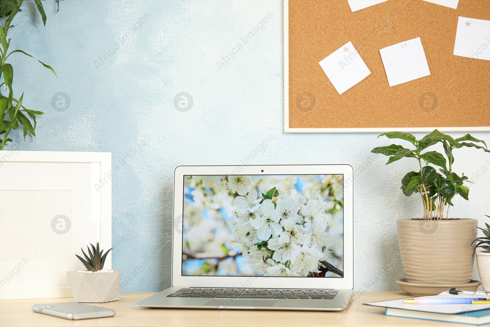 Photo of Houseplants and laptop on table in office interior