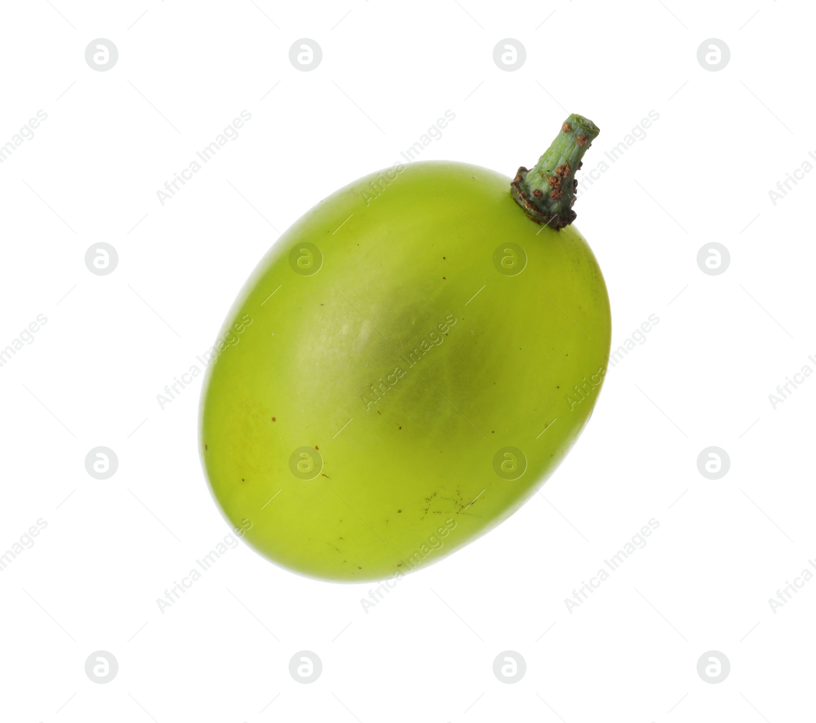 Photo of One ripe green grape isolated on white