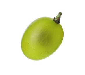 One ripe green grape isolated on white