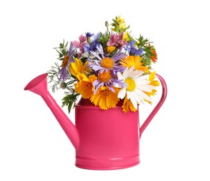 Photo of Pink watering can with beautiful flowers isolated on white