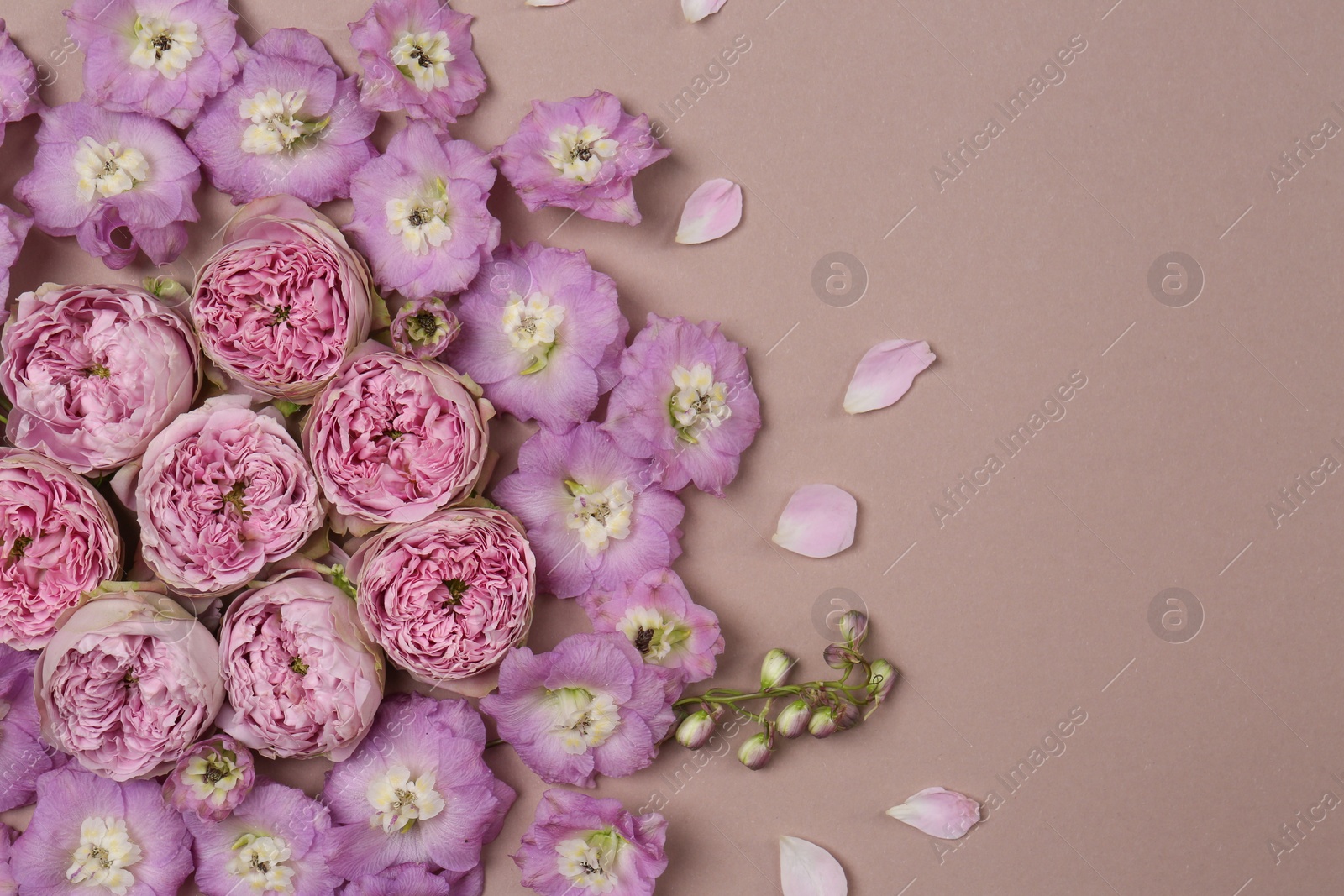 Photo of Flat lay composition with different beautiful flowers on beige background, space for text