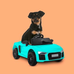 Image of Adorable puppy in toy car on pale orange background