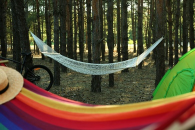 Photo of Empty hammock in forest on summer day