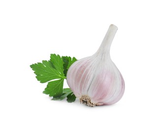 Photo of Fresh garlic bulb and parsley isolated on white