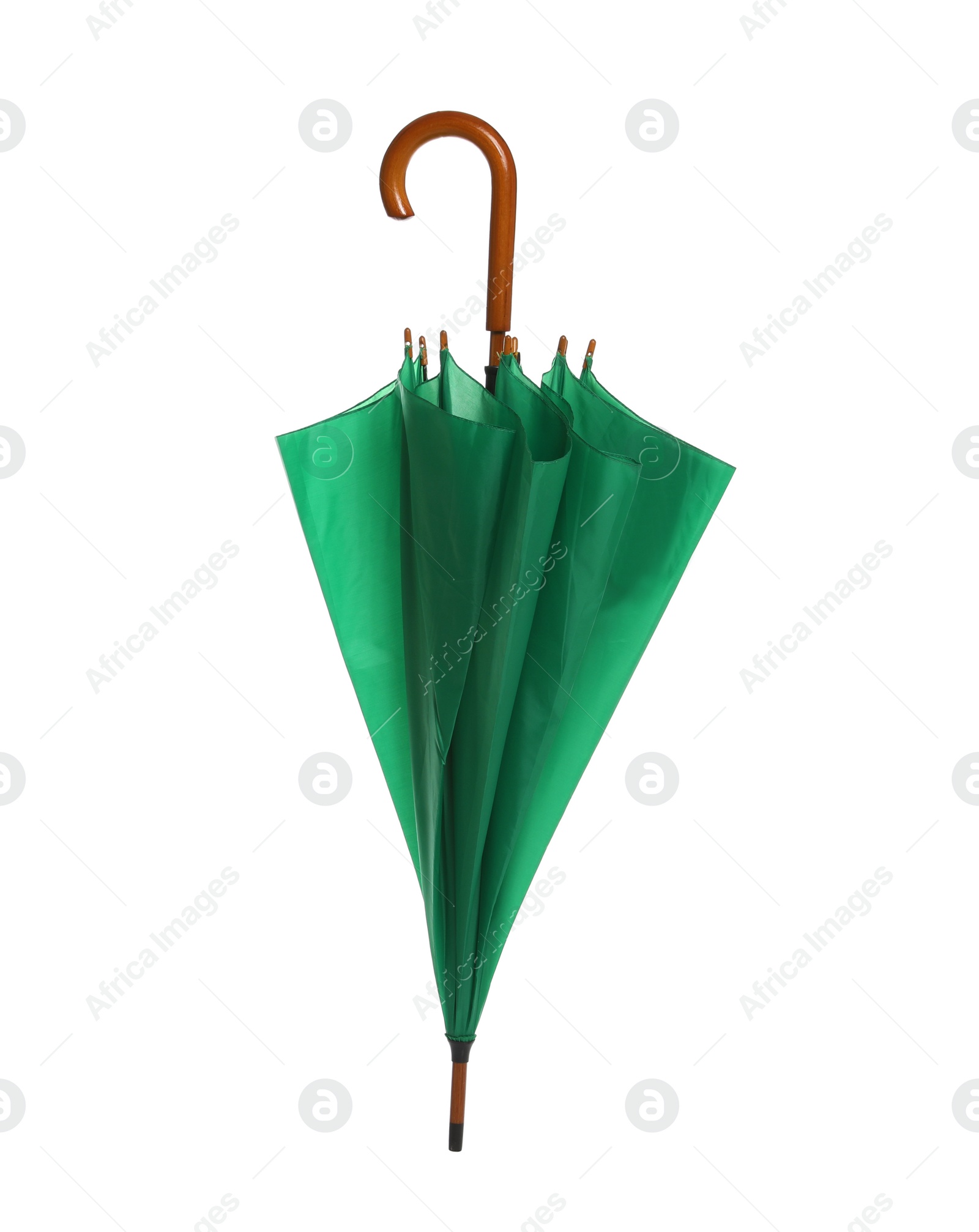 Photo of Beautiful umbrella on white background