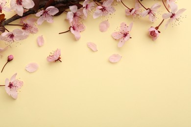 Spring tree branch with beautiful blossoms, flowers and petals on yellow background, flat lay. Space for text