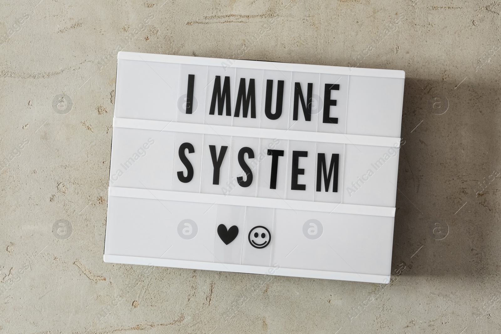 Photo of Lightbox with phrase Immune System on grey table, top view