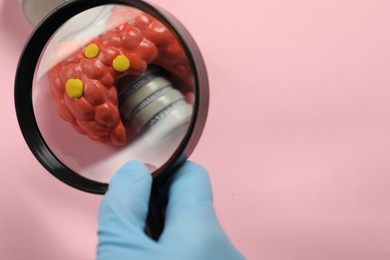 Endocrinologist looking at model of thyroid gland through magnifying glass on pink background, closeup. Space for text