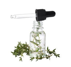 Bottle of thyme essential oil and fresh green sprigs on white background