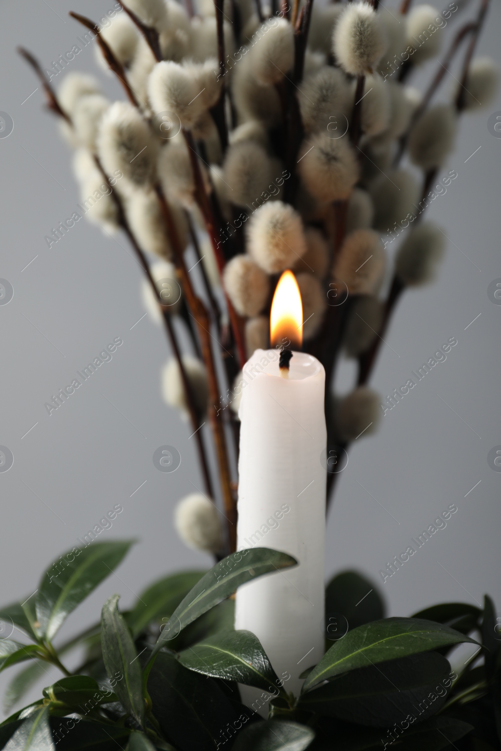 Photo of Burning candle, green leaves and willow branches against grey background, closeup