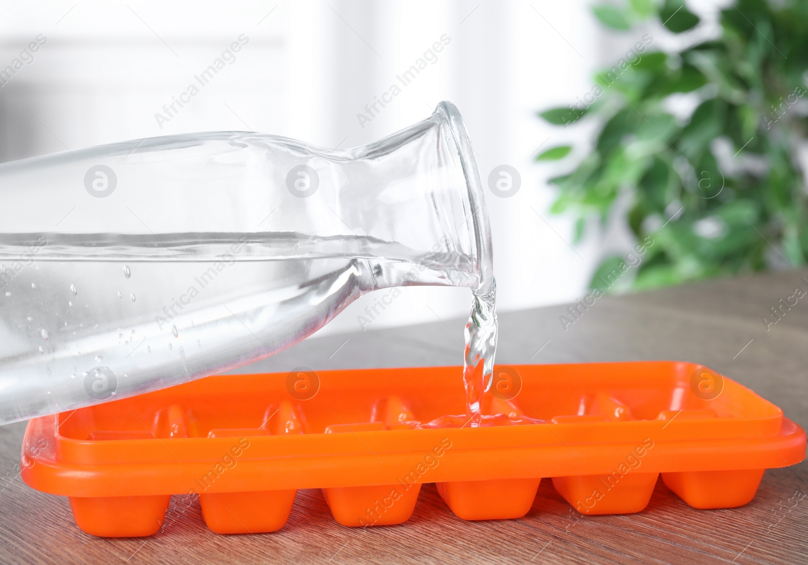 Photo of Woman pouring water into ice cube tray at wooden table, closeup