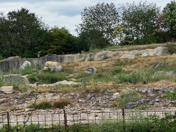 Photo of Rotterdam, Netherlands - August 27, 2022: Picturesque view of polar bear enclosure in zoo