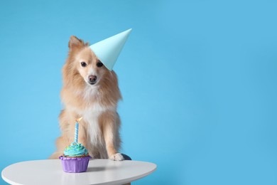 Photo of Cute dog wearing party hat at table with delicious birthday cupcake on light blue background. Space for text
