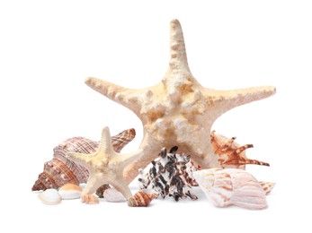 Photo of Beautiful sea stars and seashells on white background