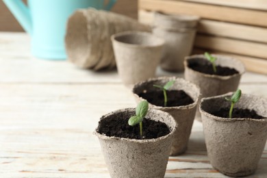 Photo of Young seedlings in peat pots on white wooden table