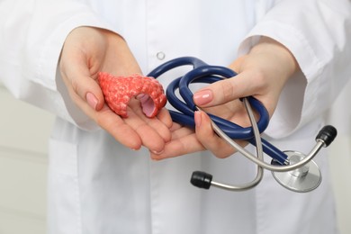 Endocrinologist holding stethoscope and model of thyroid gland, closeup