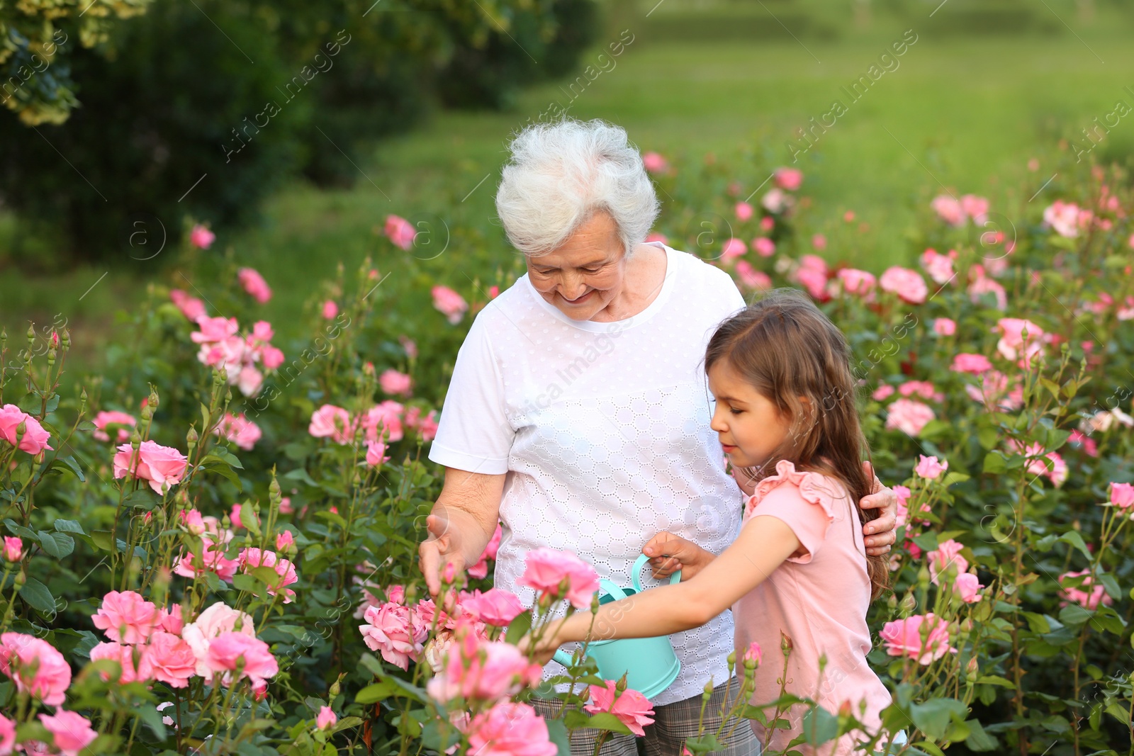 Photo of Little girl and her grandmother watering flowers in garden