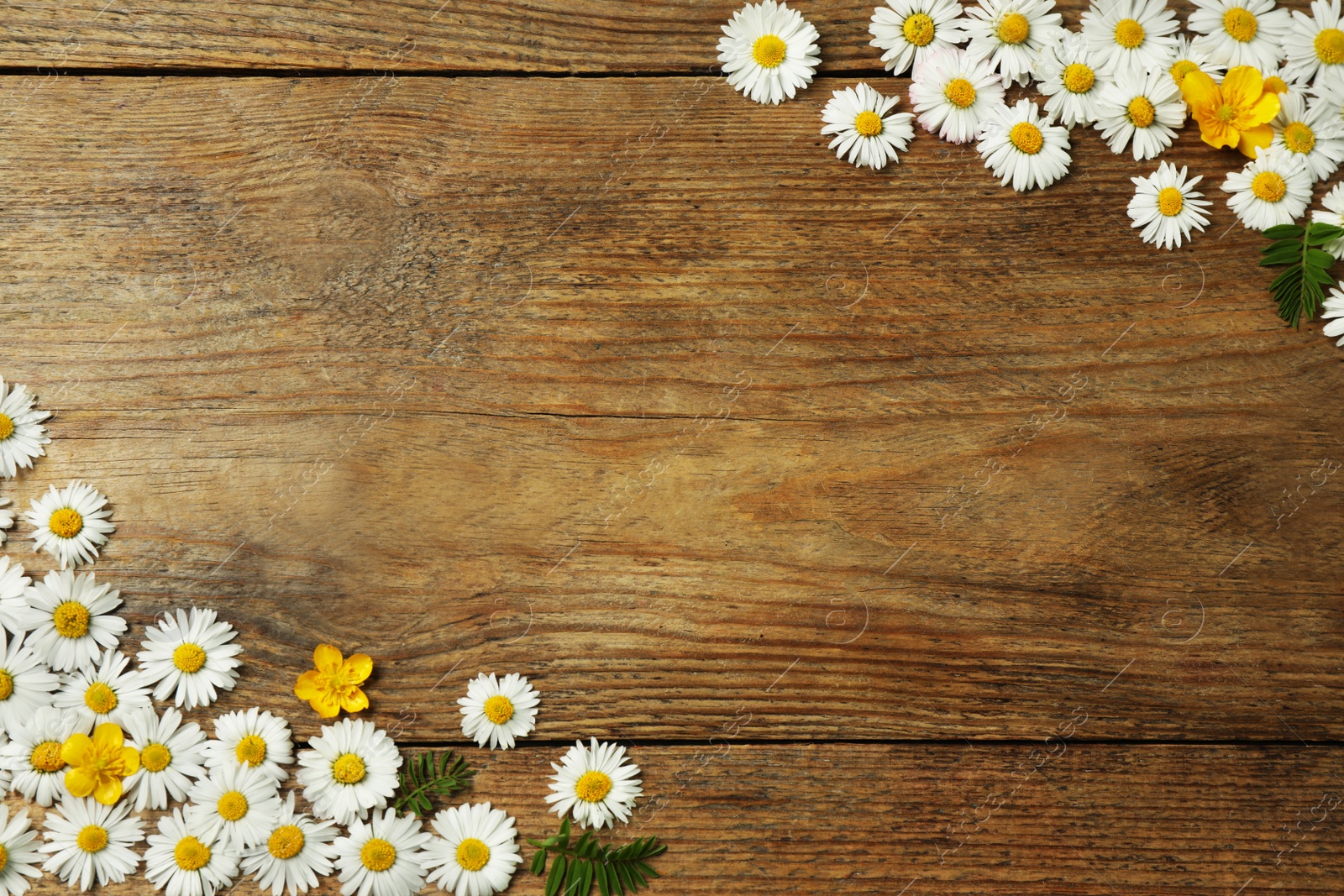 Photo of Beautiful flowers and leaves on wooden table, flat lay. Space for text