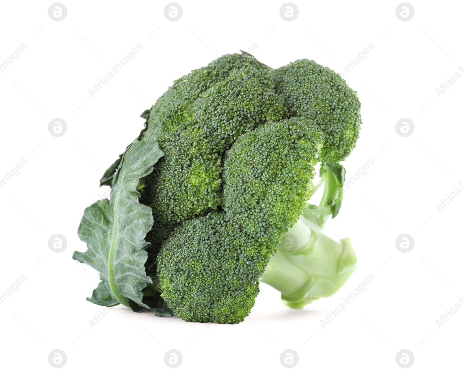 Photo of Fresh green broccoli isolated on white. Organic food