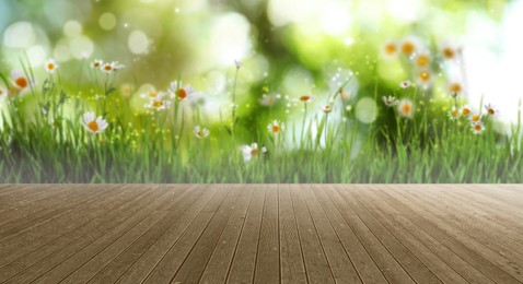 Image of Empty wooden surface and blurred view of beautiful blooming chamomiles in green meadow. Bokeh effect