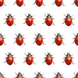 Image of Many red ladybugs on white background, top view