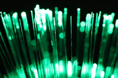 Optical fiber strands transmitting green light on black background, closeup
