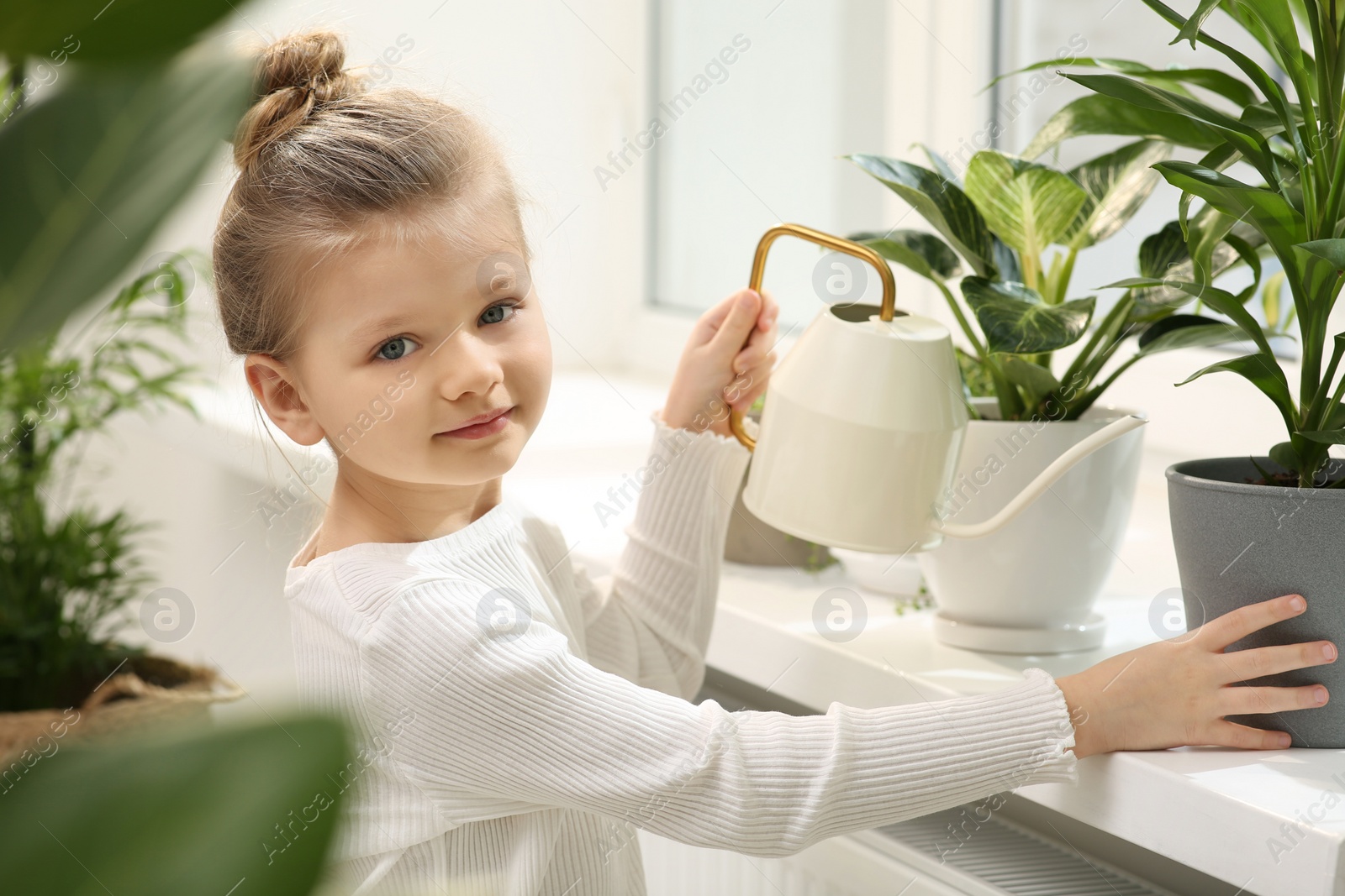 Photo of Cute little girl watering beautiful green plant on windowsill at home. House decor