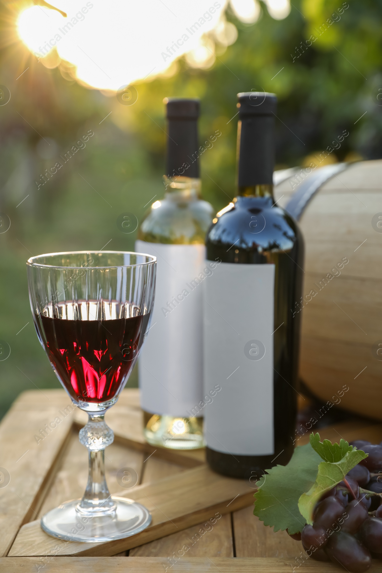 Photo of Composition with wine and ripe grapes on wooden table in vineyard