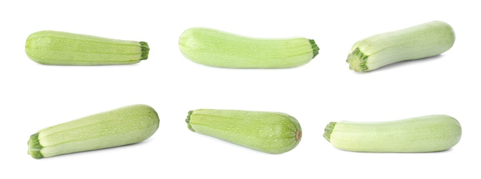 Set of fresh whole squashes on white background. Banner design