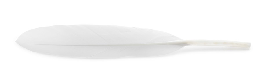 Beautiful fluffy bird feather isolated on white, top view