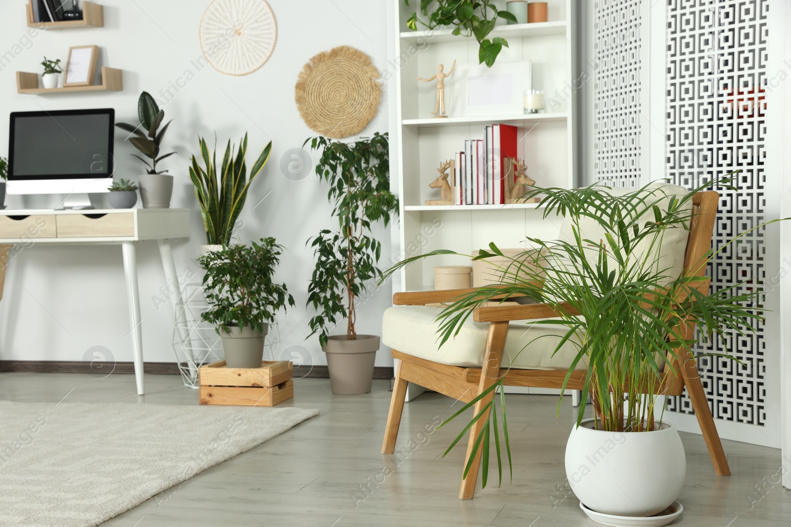 Photo of Stylish room interior with comfortable armchair and beautiful houseplants