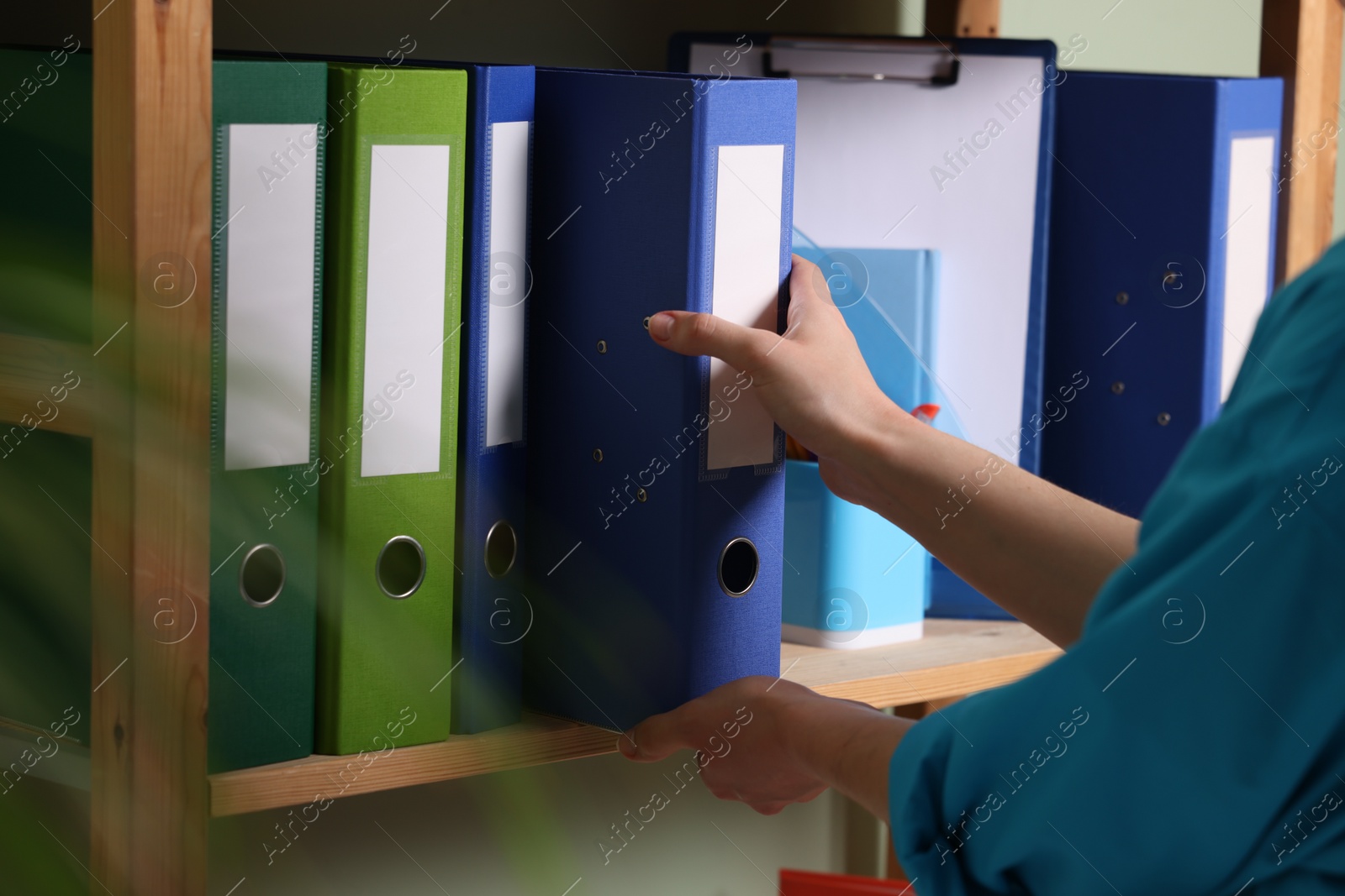 Photo of Woman taking binder office folder from shelving unit indoors, closeup