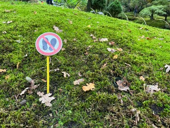 Bright moss, fallen leaves and sign Do Not Walk on ground in park