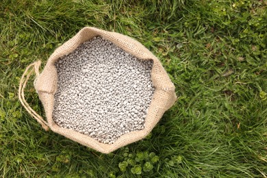 Photo of Fertilizer in bag on green grass outdoors, top view. Space for text