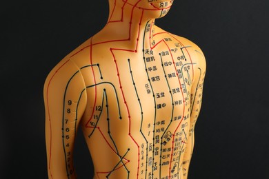 Photo of Acupuncture model. Mannequin with dots and lines on black background