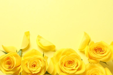 Beautiful roses on yellow background, flat lay. Space for text