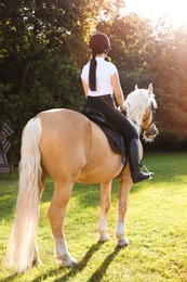 Photo of Young woman in equestrian suit riding horse outdoors on sunny day, back view. Beautiful pet