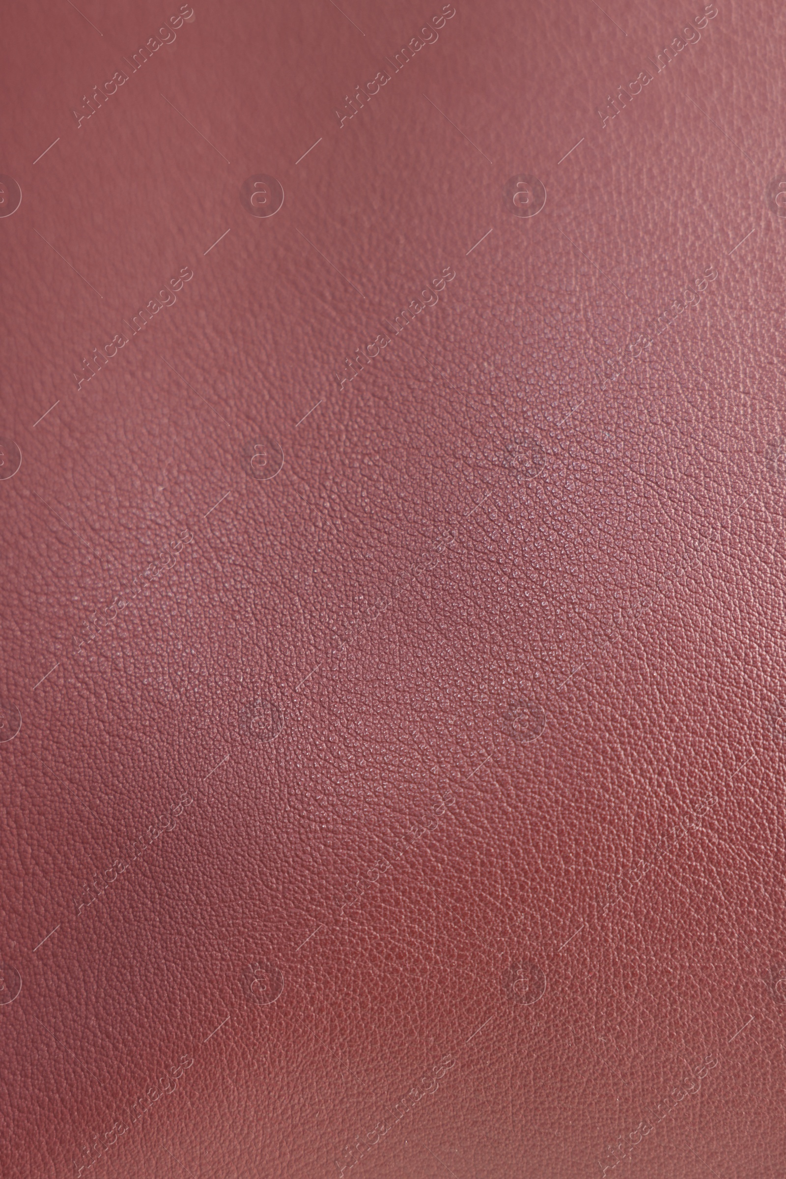 Photo of Texture of leather as background, closeup view