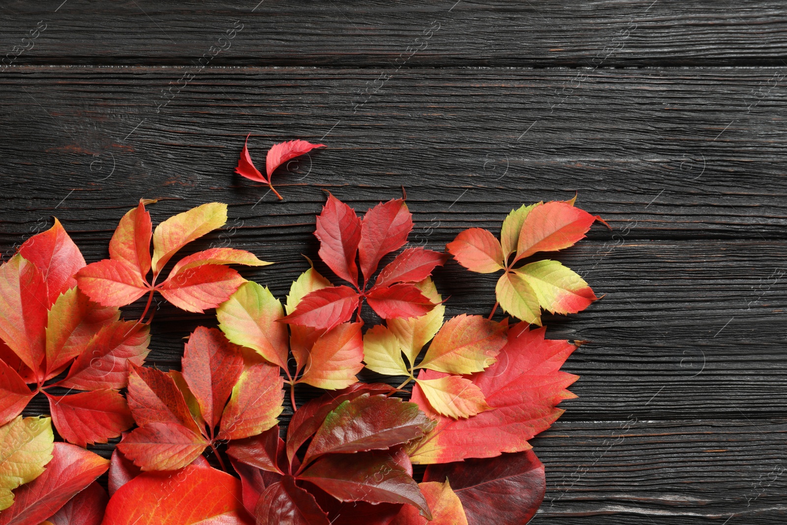 Photo of Flat lay composition with autumn leaves and space for text on wooden background