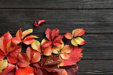 Photo of Flat lay composition with autumn leaves and space for text on wooden background