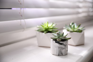 Photo of Beautiful potted succulents on white window sill Space for text