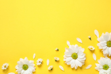 Beautiful white chamomile flowers on yellow background, flat lay. Space for text