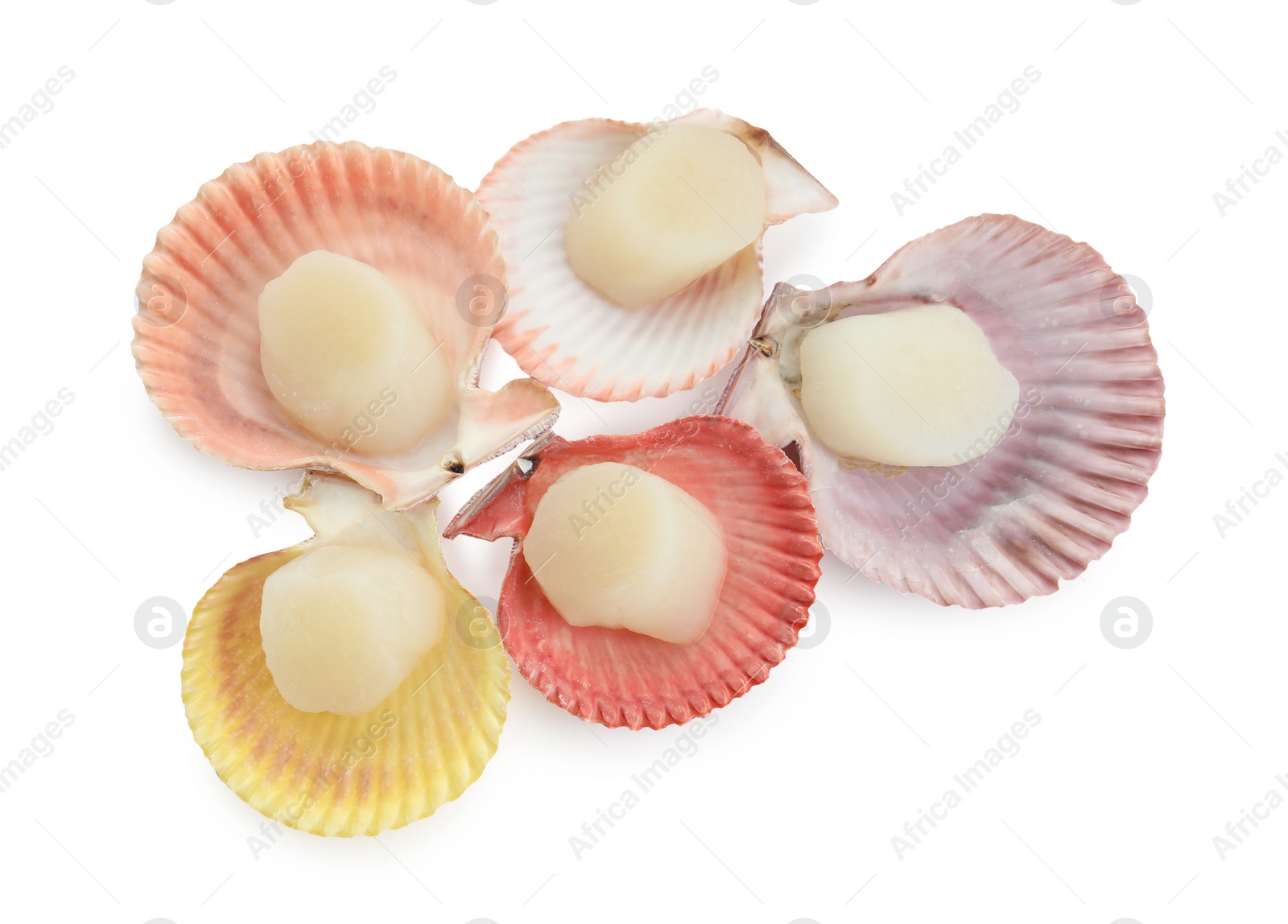 Photo of Many fresh raw scallops in shells isolated on white, top view