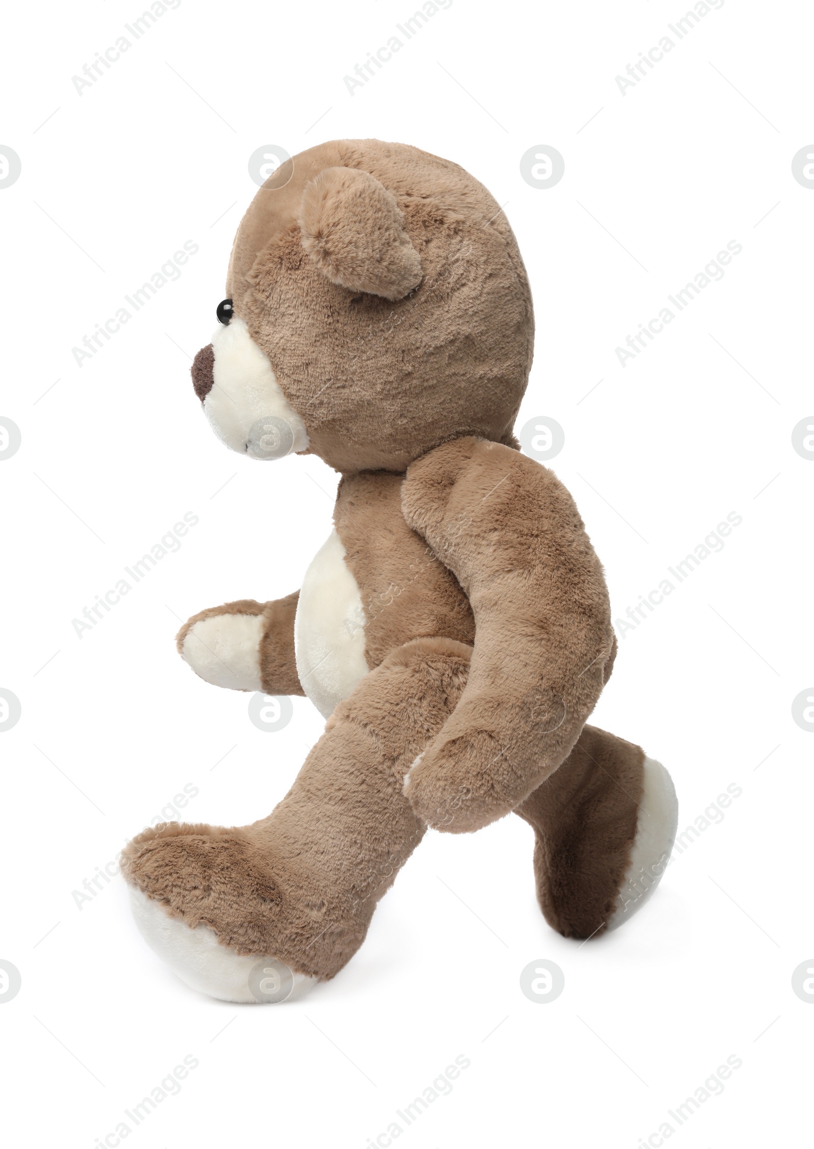 Photo of Cute teddy bear walking on white background